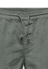 Only & Sons ALFI - Shorts - grau