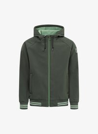 Ausgewählt, deep forest hedge green