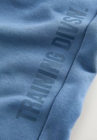 Tissu bleu clair avec un tricot texturé subtil et un texte bleu foncé pâle « TRAINING DIVISION » aligné verticalement.