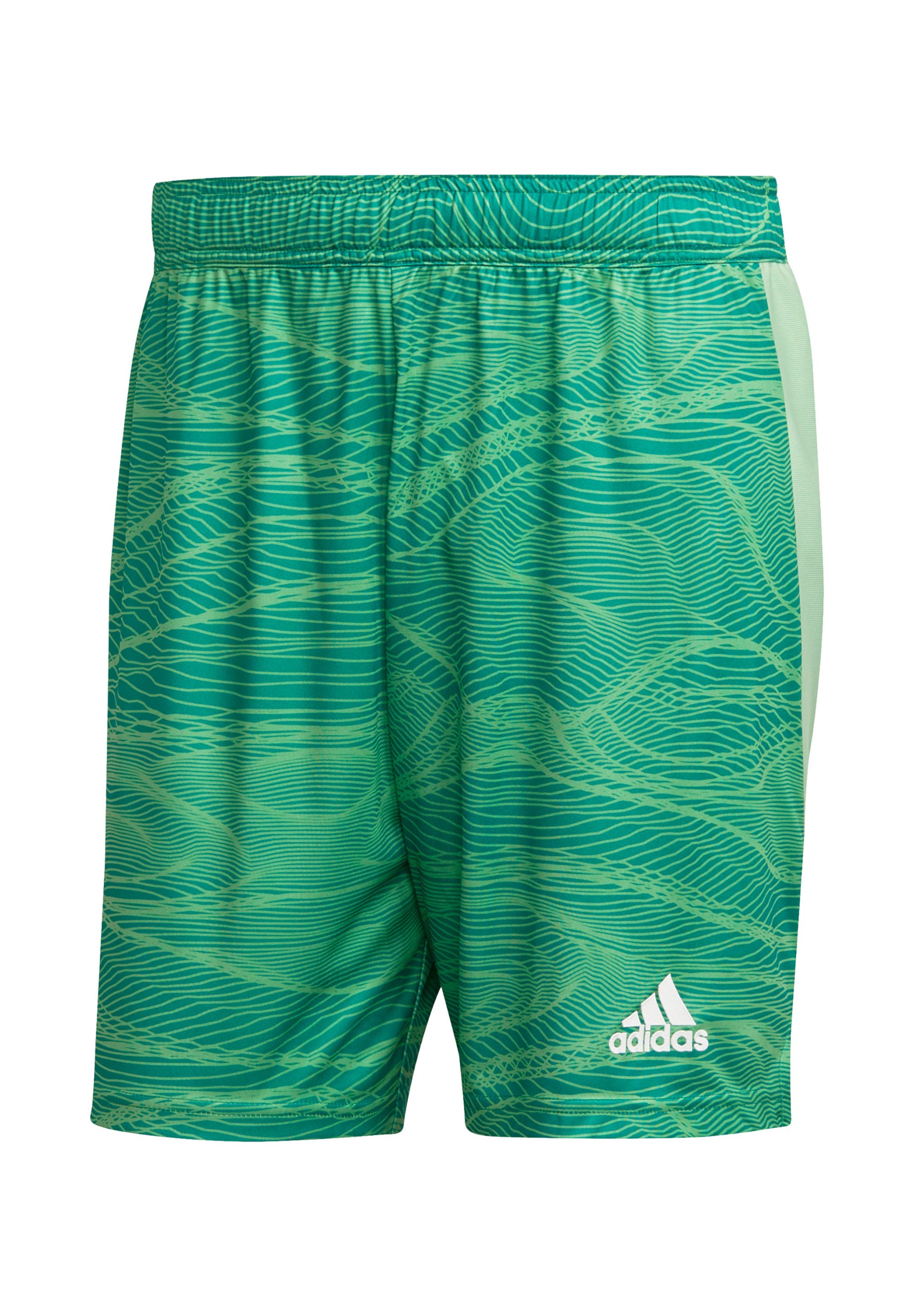 adidas Performance Pantaloncini sportivi - gruen/verde - Zalando.it