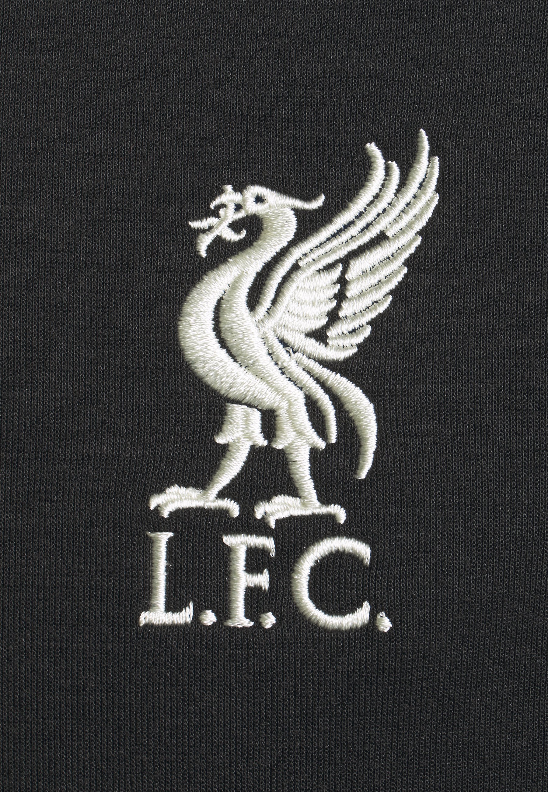 Nike Performance LIVERPOOL FC TRAVEL HOOD - Equipación de clubes -  black/fossil/negro - Zalando.es