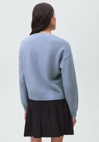 Woman with long dark hair wears a light blue sweater and a black pleated skirt, facing away against a plain light background.