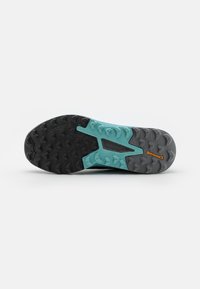 adidas Performance TERREX AGRAVIC FLOW 2 - Zapatillas - core black/dash grey/footwear white