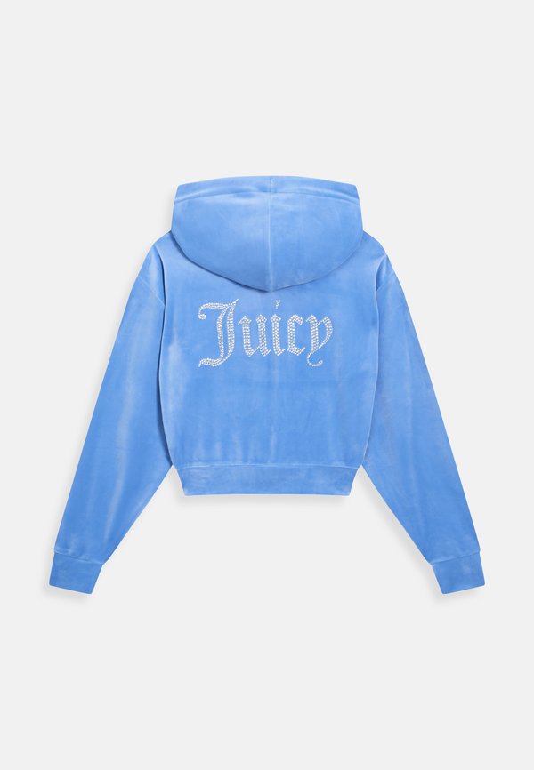 ICCLE - Zip-up sweatshirt - washed regatta2