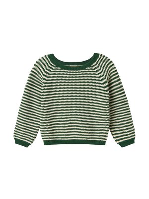 TORIN UNISEX - Strikkegenser - garden green