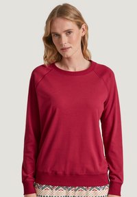 Maroon sweatshirt with a round neckline, long raglan sleeves, and ribbed cuffs. Smooth fabric and relaxed fit, paired with patterned bottoms.