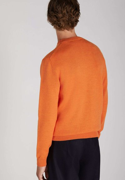 Oranges Strickpullover, Rundhalsausschnitt, lange Ärmel, gerippte Bündchen und Saum, weiche Textur, einfarbig, von hinten betrachtet.