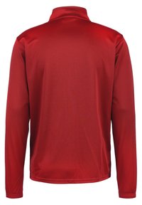 Rød langærmet pullover med høj krave. Fremstillet af glat, letvægtsstof. Har et enkelt design uden synlige mønstre eller accenter.