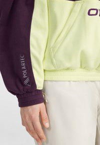 Fleece pullover in lichtgroen en donkerpaars. Voorzien van elastische manchetten, gestikte zoom en POLARTEC-logo op de mouw. Zachte textuur.