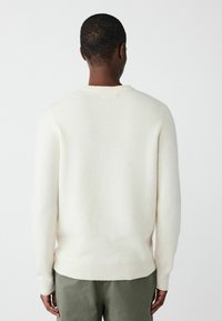 Kreemjas värvitoonis kootud sviiter, millel on soonikkoes kaelus ja varrukate otstes soonikud. Kanga tekstuur näib pehme ja kohev, vaadatuna seljalt, koos oliivroheline pükstega.