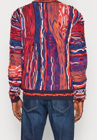 Man draagt een kleurrijke gebreide trui met rode, blauwe, oranje en witte patronen, gecombineerd met donkerblauwe spijkerbroek, gezien van achteren.