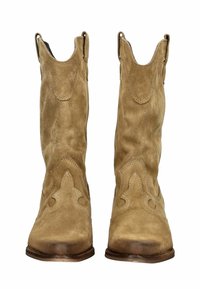 Bottines de cowboy en daim marron avec un bout pointu, des coutures décoratives et des tirants pour un enfilage facile. Talon bas et empilé, texture lisse.