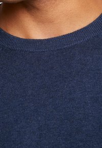 GANT Maglione - blue