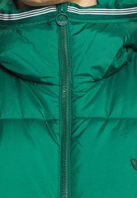 Zelená péřová bunda má přední zip, vysoký límec a detail s logem. Materiál má hladkou texturu s horizontálním prošíváním.