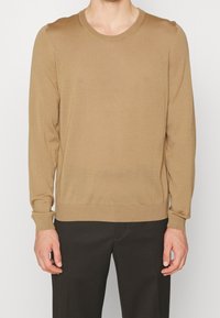 Pull à manches longues marron clair en tissu tricoté doux. Il présente un col rond ainsi que des poignets et un ourlet côtelés, offrant une silhouette ajustée.