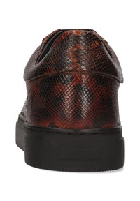 Brązowe sneakersy w wężowy wzór z fakturowanym, wzorzystym cholewką i czarną gumową podeszwą. Widok z tyłu ukazuje zaokrąglony obcas i gładkie wykończenie.
