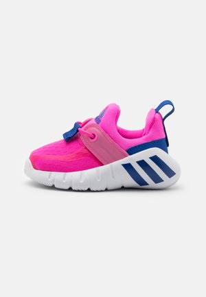 RAPIDAZEN UNISEX - Zapatillas de entrenamiento - screaming pink/team royal blue/footwear white