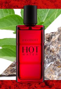 DAVIDOFF Fragrances HOT WATER EAU DE TOILETTE - Eau de Toilette