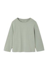 Hellgrünes Langarmoberteil mit einem runden Halsausschnitt, aus weichem Stoff gefertigt, mit lockerer Passform und schlichter Gestaltung ohne Muster oder Verzierungen.