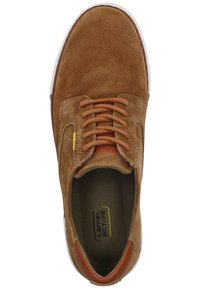 camel active BAYLAND - Trainers - cognac