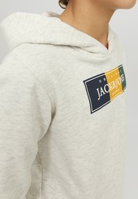 Felpa grigia chiara con una texture morbida, caratterizzata da un design del logo rettangolare multicolore sul petto. Il cappuccio è visibilmente ampio.