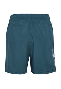 Teal idrottsshorts med elastisk midja, slät yta och tryckt logotypdetalj på sidan.