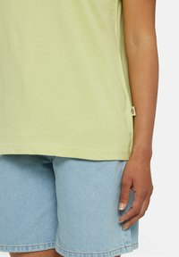 Dickies MAPLETON  - T-shirt basic - pale green