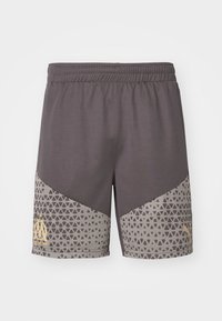 Puma OLYMPIQUE DE MARSAILLE TRAINING SHORTS - Klubbklær - dark coal/sand dune
