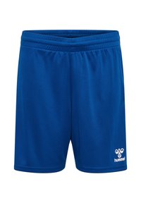 Ikke valgt, true blue