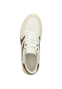 GANT GOODPAL - Trainers - cream brown