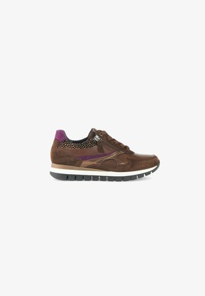Gabor Sneakers laag - sattel bron orchid