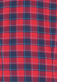 Tessuto a quadri rosso e blu navy con una consistenza morbida. Presenta un motivo a griglia con sottili linee blu che delineano quadrati e rettangoli.