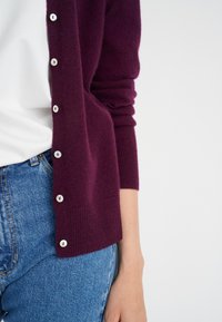 InWear LUKKAIW  - Neuletakki - brown bordeaux