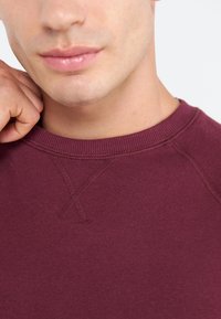 Sweatshirt bufni cu guler rotund, mâneci lungi și detalii de cusătură vizibile pe cusăturile umerilor și pe guler.
