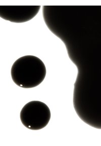 Miniatuurafbeelding 5