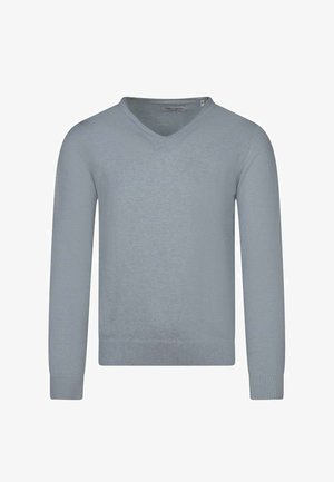 Pull à manches longues gris clair avec col en V, poignets et ourlet côtelés, présentant un nom de marque brodé subtilement sur la poitrine gauche.