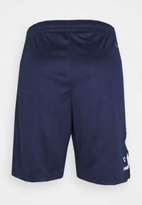 Marine treningsshorts laget av et glatt, lett stoff med elastisk midjebånd og subtil logo detaljer på siden.