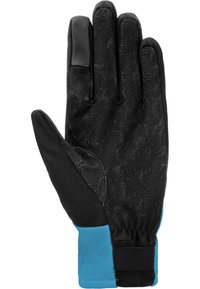 Reusch VERTICAL TOUCH-TEC - Fingerhandschuh - black bachelor button