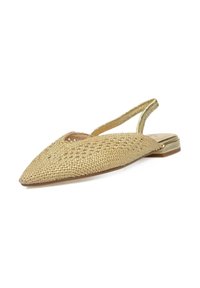 Zapato de slingback dorado tejido con punta afilada, suela plana y tacón estrecho. Presenta un diseño recortado y suaves acentos metálicos.