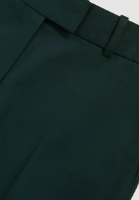 Reiss REGULAR FIT - JADE BLEND - Chinot - green
