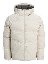 JJGLOBAL PUFFER JACKET - Giacca invernale - moonbeam