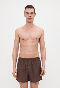 Shorts de bain bruns avec une taille élastique et un bouton à l'avant. Texture lisse, design minimaliste, style à mi-cuisse. Modèle se tenant droit.