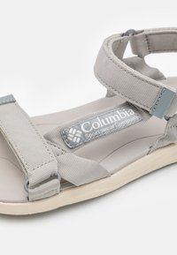 Columbia GLOBETROT - Walking sandals - flint grey/sea