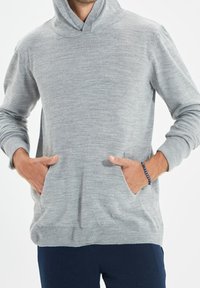 Trendyol Kapuzenpullover - grey
