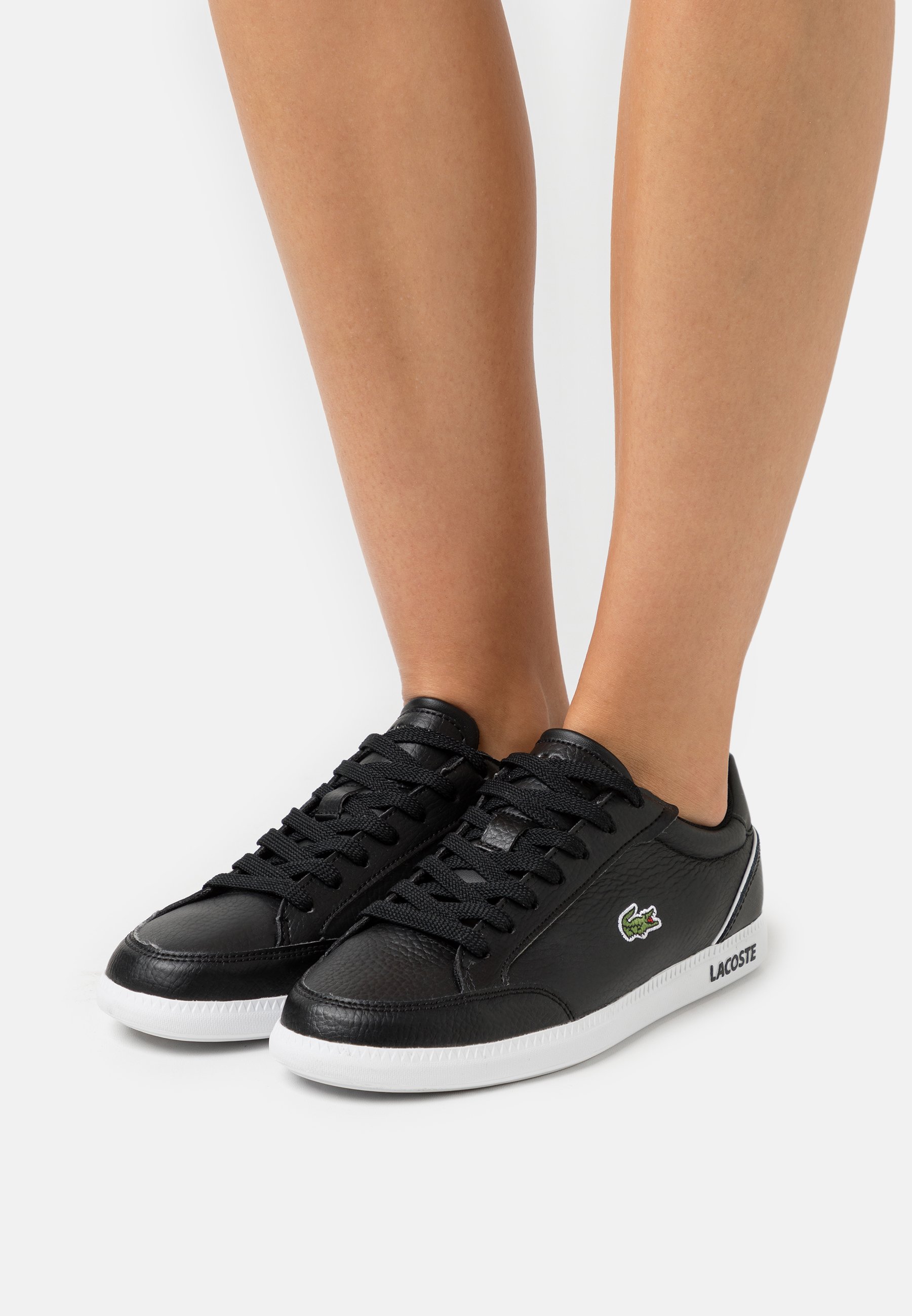 graduate lacoste