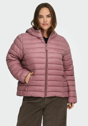 CARTAHIA QUILTED HOOD - Vinterjakker - rose brown