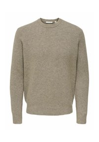 Pletený svetr světle šedé barvy s kulatým výstřihem, dlouhými rukávy a žebrovaným lemem. Měkká textura, minimalistický design, žádné viditelné vzory.