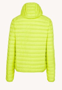 JOTT NICO - Doudoune - vert