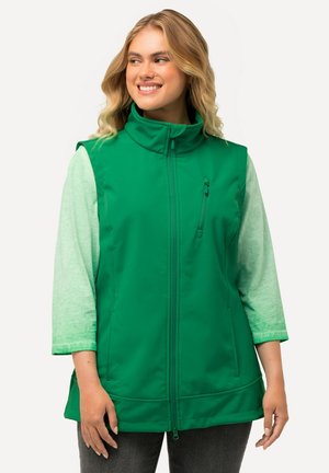 Gilet verde senza maniche con colletto alto, chiusura frontale con zip e tasca laterale. Indossato sopra una maglietta a maniche lunghe verde chiaro. Tessuto dalla consistenza liscia.