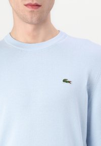 Világoskék pamut pulóver bordázott kerek nyakkal; a bal mellen egy kis zöld hímzett krokodil logó található.